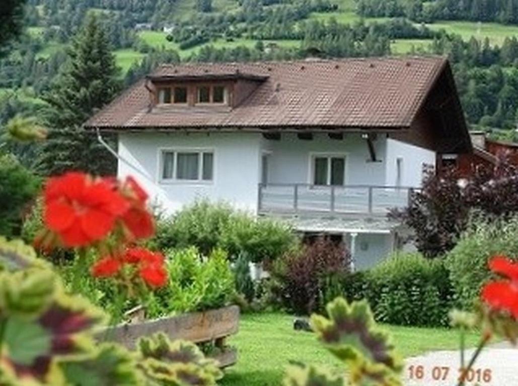 Pension Strauss Sankt Lorenzen ob Murau Ngoại thất bức ảnh