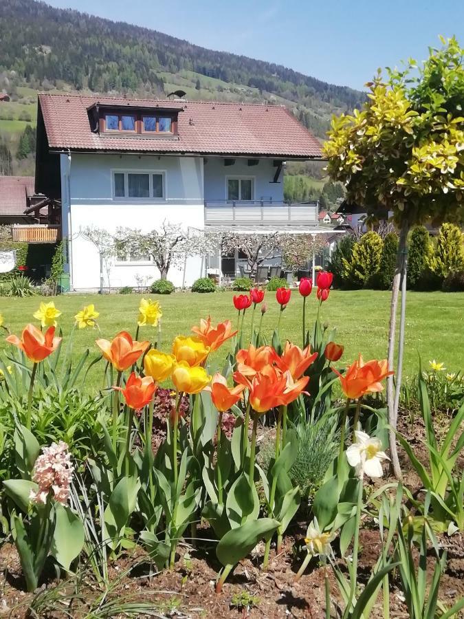 Pension Strauss Sankt Lorenzen ob Murau Ngoại thất bức ảnh